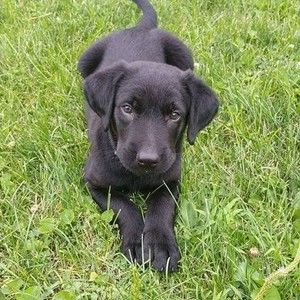 Meet your Posher, Kara